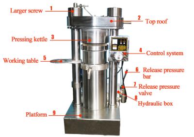 China Large Size Hydraulic Type Sesame Oil Making Machine For Olive Sesame Avocado zu verkaufen