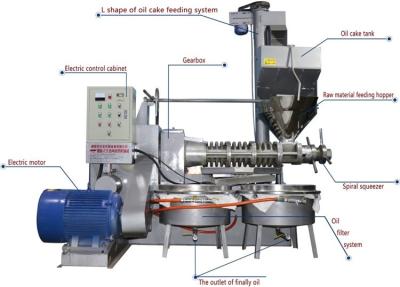 China Extrator frio do óleo da imprensa da operação fácil/máquina fria industrial da imprensa de óleo à venda