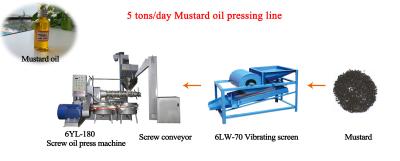 China Cold Pressed Mustard Oil Making Machine Screw Type Oil Press Machinery for sale