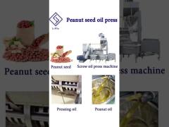 peanut oil press machine