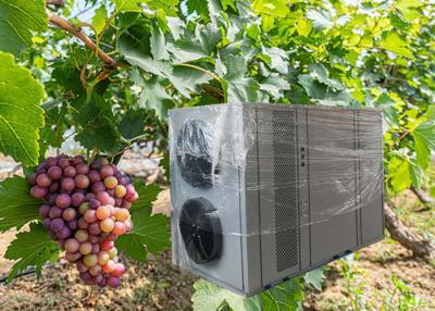 China Milieuvriendelijke Lucht BronWarmtepomp Binnenserre die Constante Temperatuur verwarmen die Warmtepomp planten Te koop