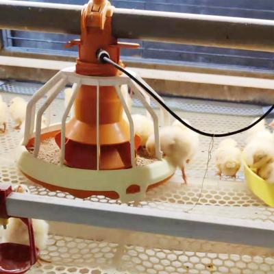 China Cultivate New Design Automatic Poultry Farm Battery Cage Broiler Bird Harvester Pan Type Feeding For Growing Broiler for sale