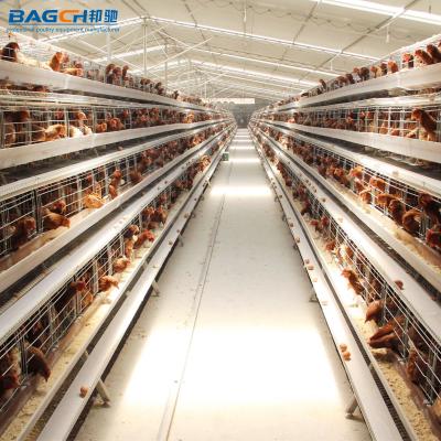 China Modern Design Automatic Broiler Poultry Farm Chicken Farms 3 Tiers H Tiers 4 Type Broilers Cage System for sale