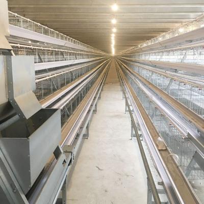 China Full Automatic Farms Layer Cages Egg Chicken Cage Poultry Farm for sale