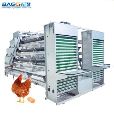 China TOP Automatic Farms Poultry Farm One Type Galvanized Layer Egg Laying Chicken Battery Cage System for sale