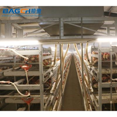 China Full Automatic Chicken Cage High Quality Cage For Broiler Three Tiers Or Four Tiers H Type Cage For Sale for sale