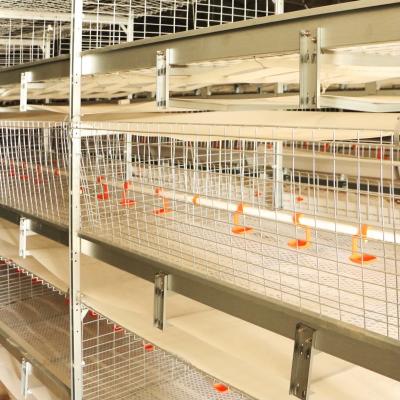 China Automatic Used 120 Farms Broiler Poultry Chicken Feeding Drinking Cage For Sale for sale