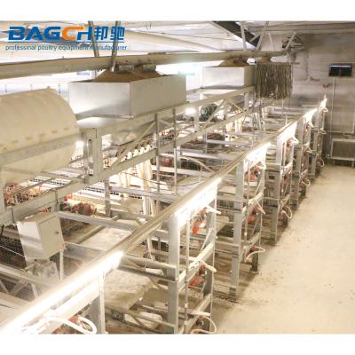 China Farms 2022 Hot Sale Farming Equipment Animal Cage For Broiler Cage H Types for sale