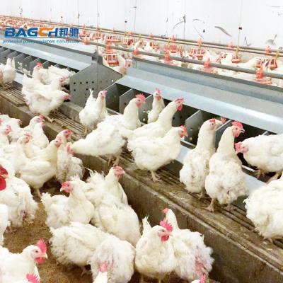 China Farms roll away nidos ponedoras automatic nesting boxes for chicken hens for sale