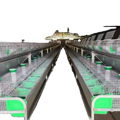 China High Quality And Low Price Rabbit Farms Cage For Sale for sale