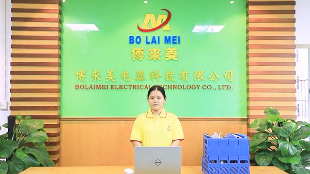 Verified China supplier - Foshan Bolaimei Electric Technology Co., Ltd.