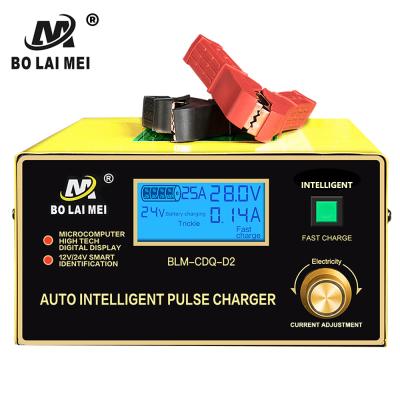 China Portable Auto Battery Charger 12V 24V Car Battery Tool 25A Universal Electric Car Charger for sale