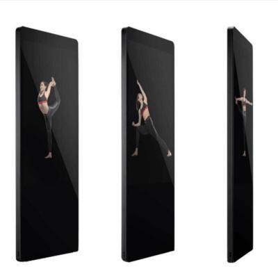 China Popular Selling Smart Fitness Mirror For Global Market 43 for sale