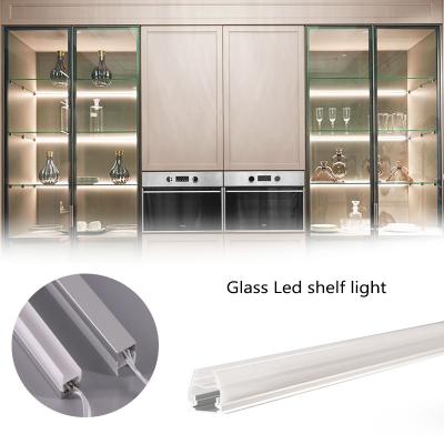 China Cheap and high quality modern lead glass shelf strip lighting kit for 8mm glass edge for sale