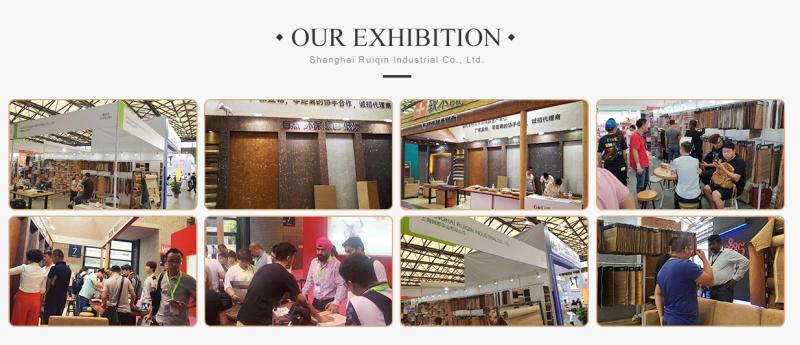 Verified China supplier - Shanghai Ruiqin Industrial Co., Ltd.