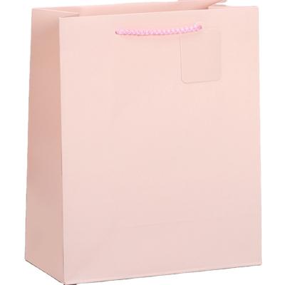 China Recyclable Recyclable shoes paper bag clothing paper bags for underwear manufacturer for sale