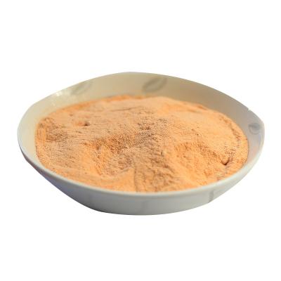 China Health Food Factory Supply With Cheap Price Carrot Extract Carrot Powder for sale