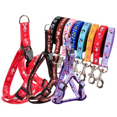 China Ebay Amazon New Design Sustainable Hot Selling Durable Dog Rope Flexible Training Leash With Fashion Patch 120CM for sale