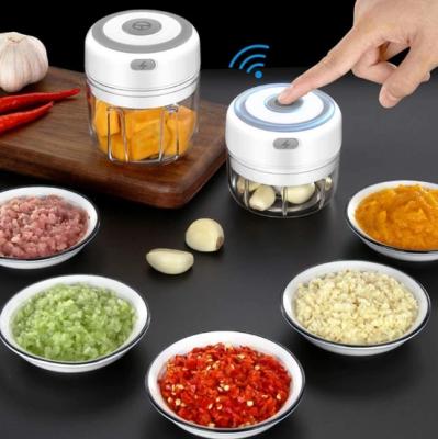 China Dropshipping 100/250ml Mini USB Radio Garlic Grinder Viable Electric Press Meat Grinder Chili Meat Grinder Food Chopper Vegetable Kitchen for sale