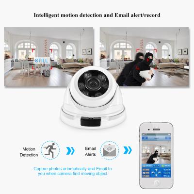 China H.265 Face Detection H.265 Baby Cctv Baby Security Metal Dome Outdoor Home Camera IP Camera Video Monitor Surveillance 3.6