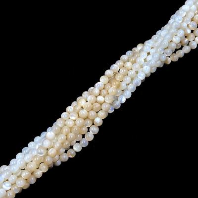 China Garment Shell Beads /Accessories/Jewelry Decoration DIY/Make Shell Bead Strings 2mm Beads For Jewelry Making for sale