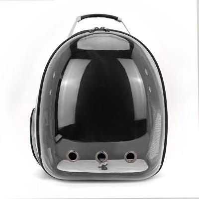 China Cross-Border Breathable Wear-Resistant Small Dog Backpack Going Out Cat Backpack Pet Bag New Transparent Pet Backpack zu verkaufen