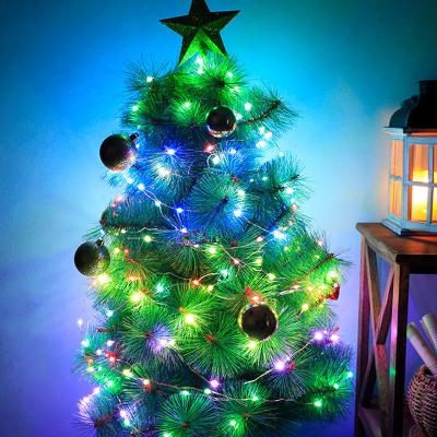 China Christmas String Lights RGB Color LED Indoor Outdoor Smart Fairy Lights Christmas Lights for sale