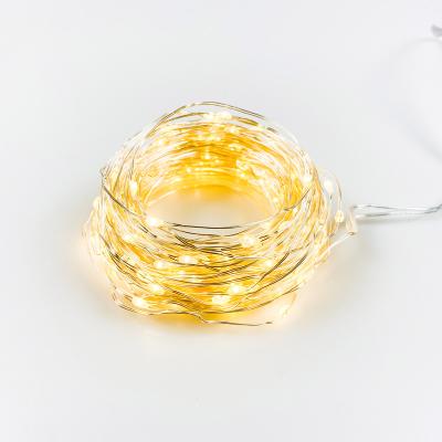 China Factory Light Battery Operated Indoor Lights Copper Wire LED Christmas Lights Hesheng Box String Copper Wire +3*AA Battery Fairy Lights For Vases for sale