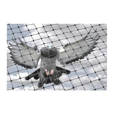 China HDPE PP Nylon Mist Net New 2mx10m Bird Catching For Orchards for sale