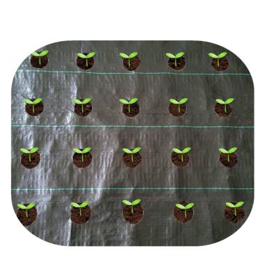 China Agriculture 1x100m Promotional Weeding Mat for Agriculture for sale