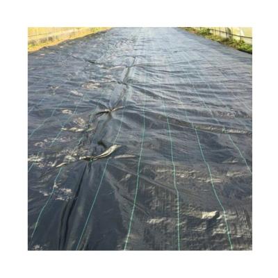 China 100% PP Anti Weed Black PP Woven Weed Mat In India for sale