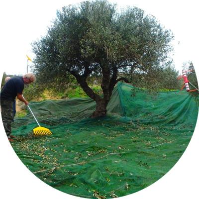 China HDPE with 3% UV Stabilized Olive Tree Protection Net Premium HDPE in Green for sale