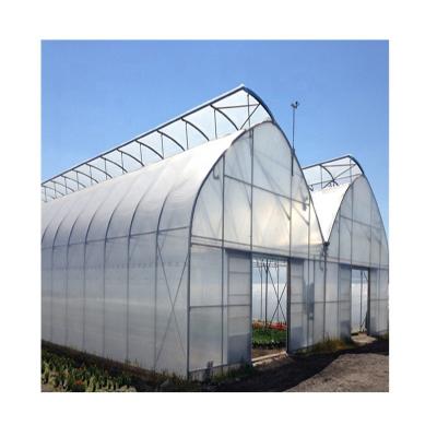 China Blue PE Good Price Greenhouse Film For Plants for sale