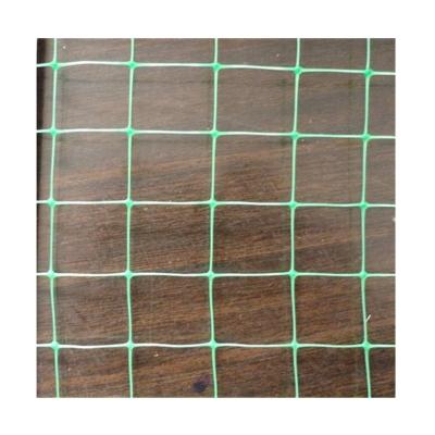 China 100% Virgin Polypropylene Hot Sale New Factory PP Climbing Support Trellis Netting for sale