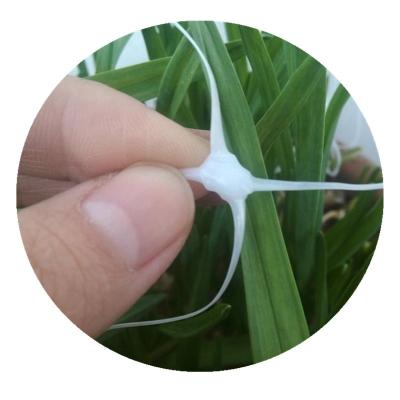 China 100% PP Material Big Discount PP Plastic Net Support For Vegetables for sale