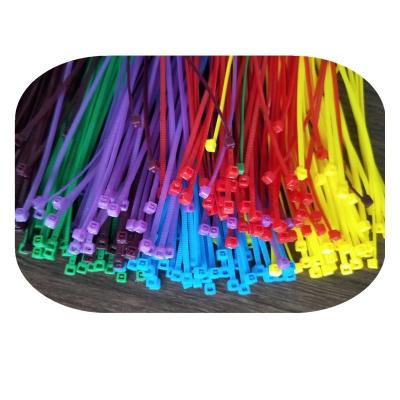 China Nylon 50% Off Biodegradable Cable Ties With High Quality for sale