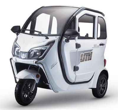 China Passenger For Adults Motorcycle Cargo Car Rickshaw Family Vehicle Middle East Fully Enclosed 3 Wheel Electric Tricycle Closed Electric Tricycle for sale