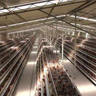 China Easily Install Best Price Hot Dipped Galvanized Poultry Farm Chicken Egg Layer Cages For Sale In Philippines for sale