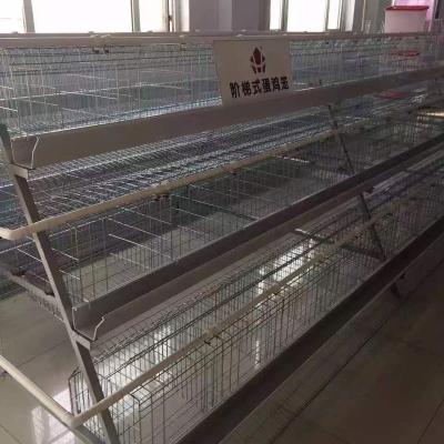 China Easily Install Free Design 5000 Birds Poultry Layer Battery Chicken Cages for sale