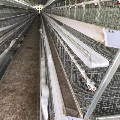 China Easily Install Best Selling Chicken Egg Equipment Battery Cage Layers for sale