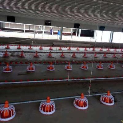 China Farms Broiler System Poultry Feeding System /chicken line farm equipment/Feed for sale