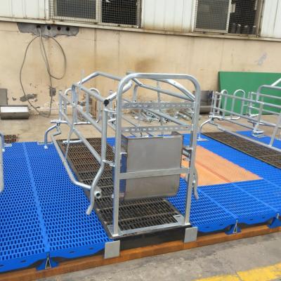 China Farms Farm Equipment Manufacturers Supply Pig Farm Supplies Pig Farm Crate Farrowing Cage for sale