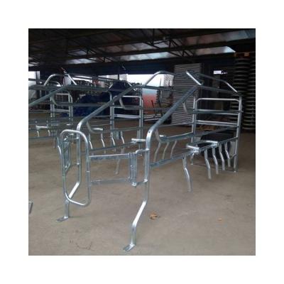 China Farms Pig Farm Equipment Cage Location Bar For Pregnant Sow Gestation Stall for sale