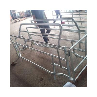 China Outdoor Farms China Factory Pig Gestation Stalls Pig Pregnant Cage For Farm for sale