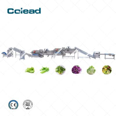 China Automatic High Efficiency Salad Vegetable Processing Line / COLEAD Preprocessed Line for sale