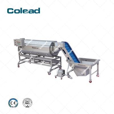 China Snack Plant Colead Potato Peeling Vegetable Processing / Peeler / Continuous Sealer / Polish Washing Machine / Production Line for sale