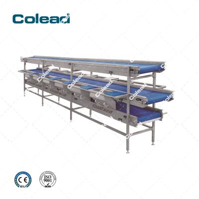 China High Efficiency Food Grade Working Conveyor Belt For Vegetable And Fruit for sale