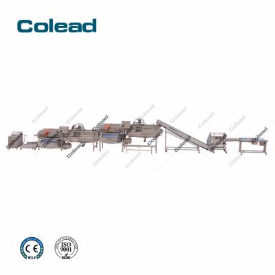 China High Efficiency Frozen Vegetable Processing Machine Plant For Salad for sale