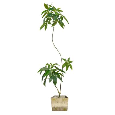 China Hot Sale 150cm Home Artificial Horse Chestnut Tree, Wholesale New Design Fortune Artificial Tree For Home Office Mall Store for sale