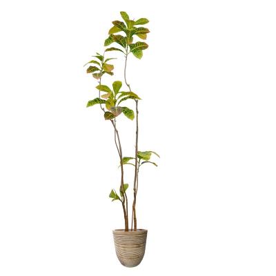 China Wholesale Artificial Golden Banyan Plant 150cm Home Artificial Golden Banyan Tree New Design For Home Ministry Mall Stores for sale